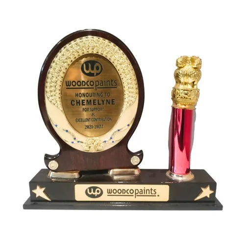 Award-7